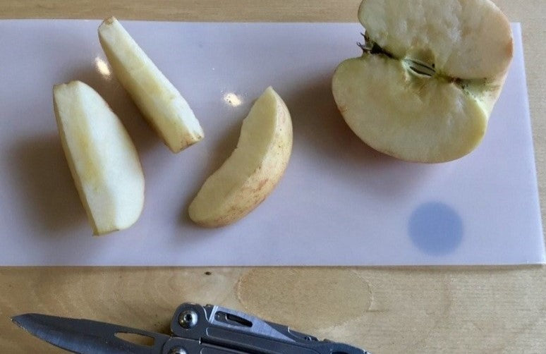 Camp Cutting Board